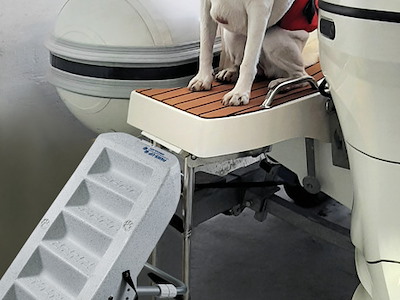 Scaletta per cani  Scaletta per cani 