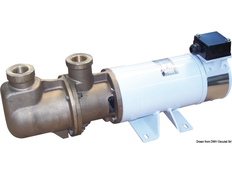 Elettropompa autoadescante monovite in bronzo 24V 