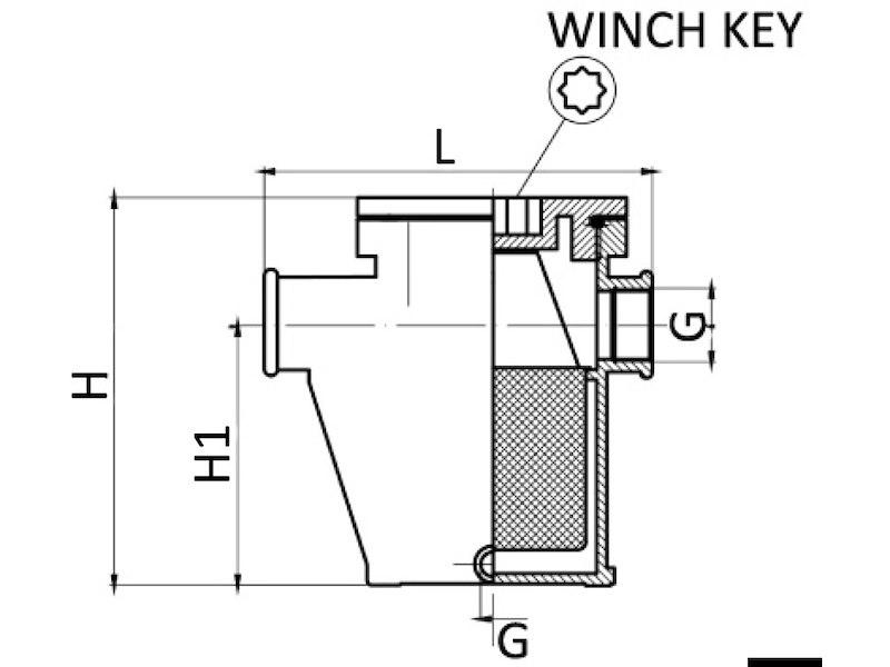 Filtro depurazione acqua in ottone nichelato per raffreddamento motore