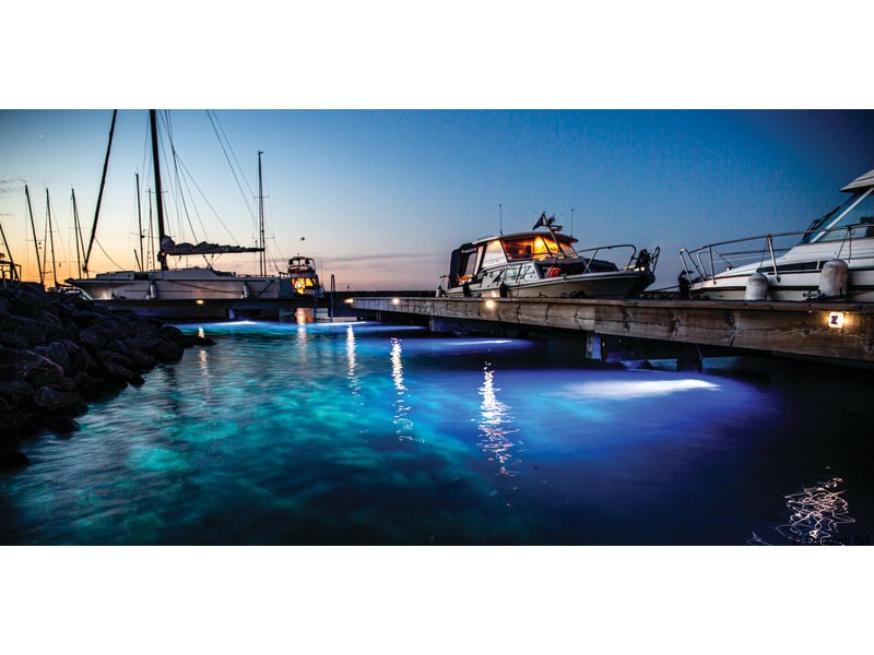 Luce subacquea BLUEFIN LED PIRANHA P4 POLYMER