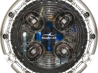 Luce subacquea BLUEFIN LED PIRANHA P4 POLYMER
