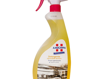DETERGENTE TECNICO AMUCHINA PROFESSIONAL