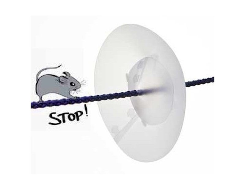 DISCHI ANTI-RATTO