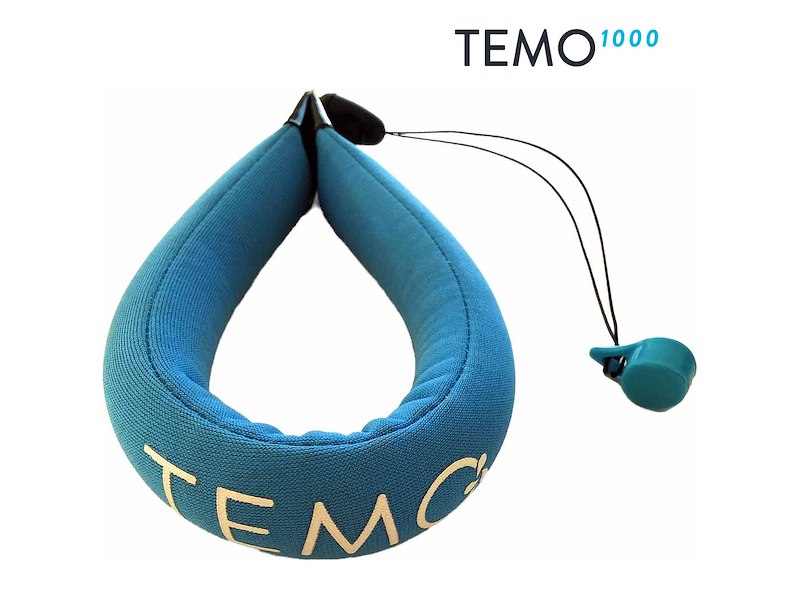 CHIAVE MAGNETICA PER TEMO 1000