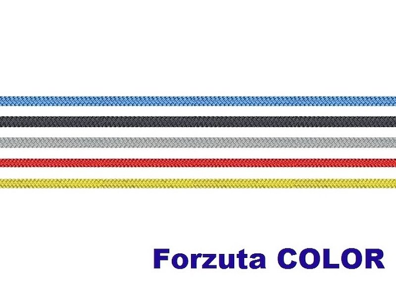 FORZUTA COLOR
