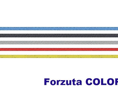 FORZUTA COLOR
