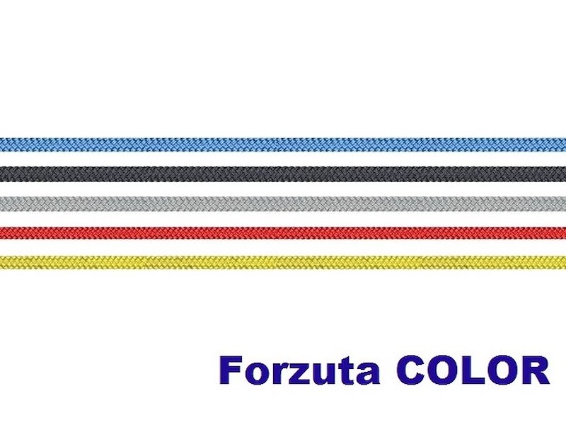 FORZUTA COLOR