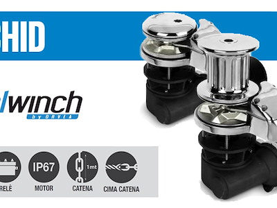 VERRICELLO ITALWINCH ORCHID