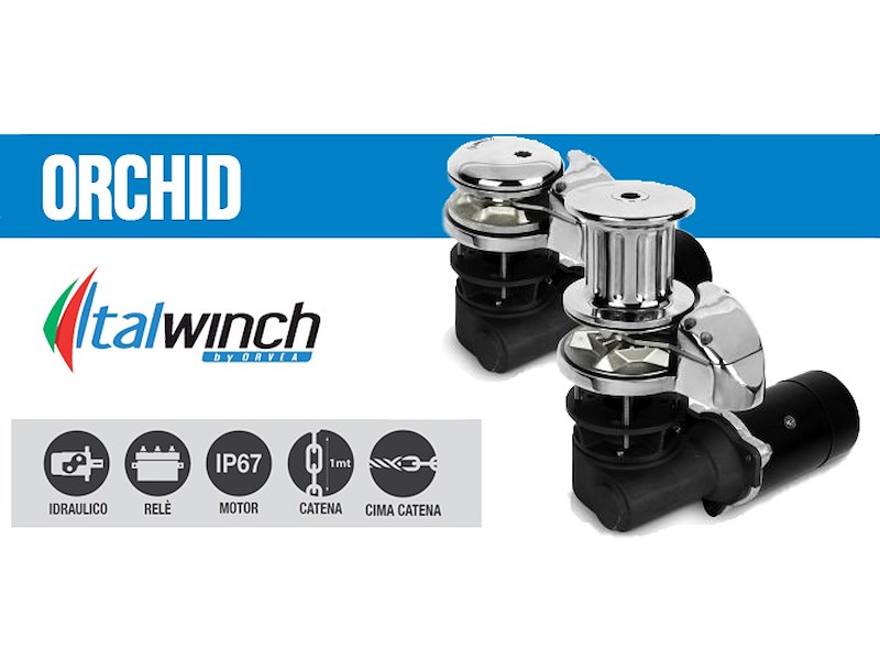 VERRICELLO ITALWINCH ORCHID