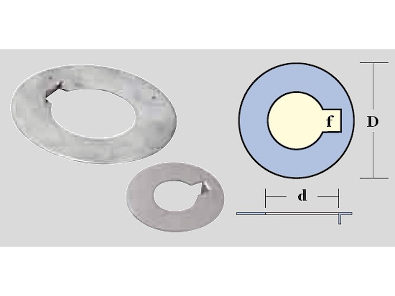 RONDELLA INOX PER OGIVE RADICE