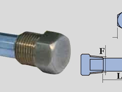 ZF