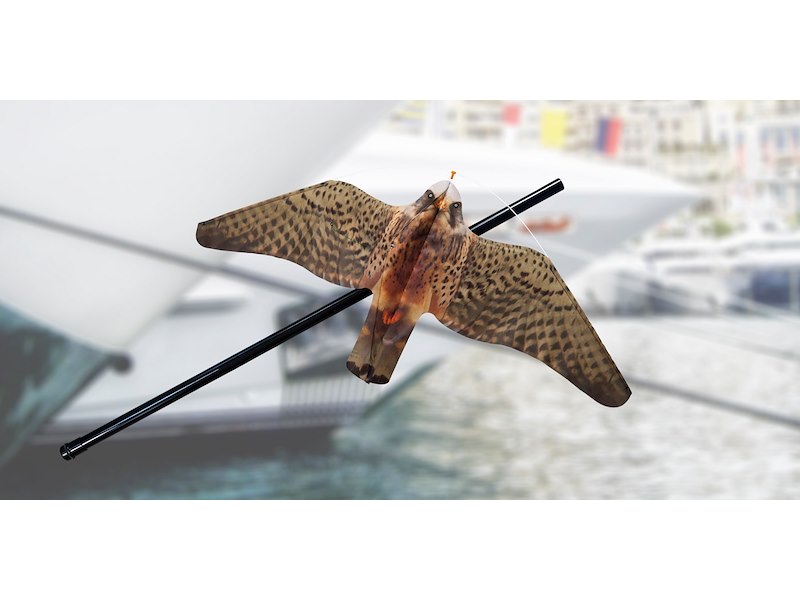 STOPGULL FALCON