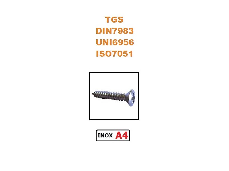 VITI AUTOFILETTANTI TAGLIO CROCE TGS