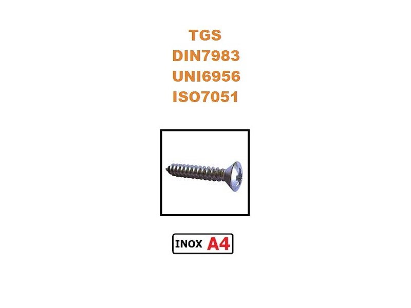 VITI AUTOFILETTANTI TAGLIO CROCE TGS
