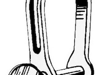 Grillo in lastra stampata