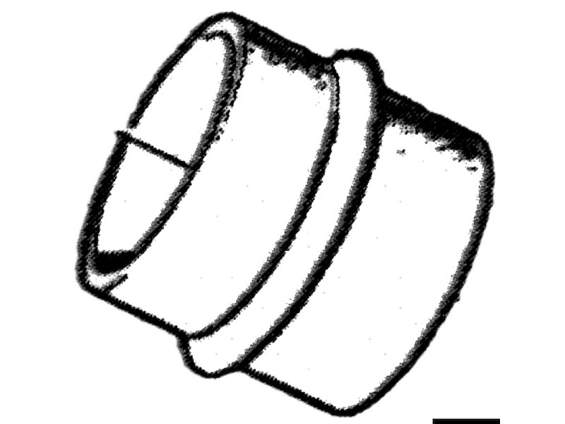 Soffietto e manicotto per Volvo