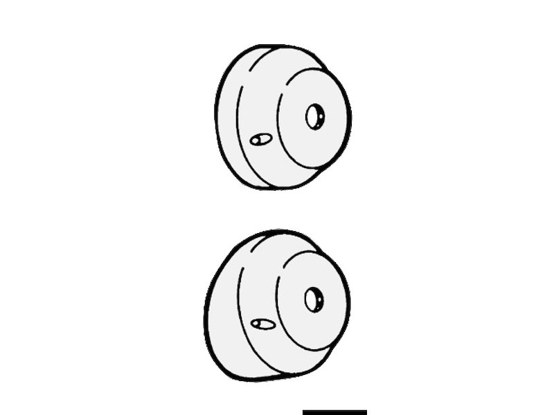 Sistema di guida rotativo T 71 FC