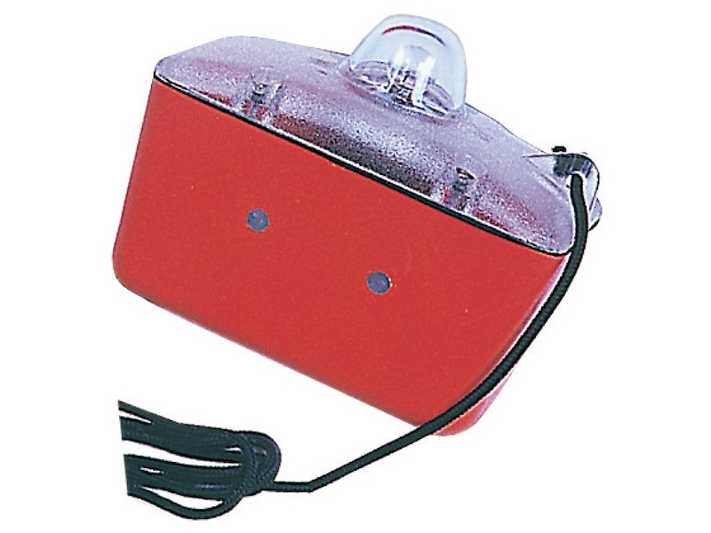 Boetta luminosa Sealux 