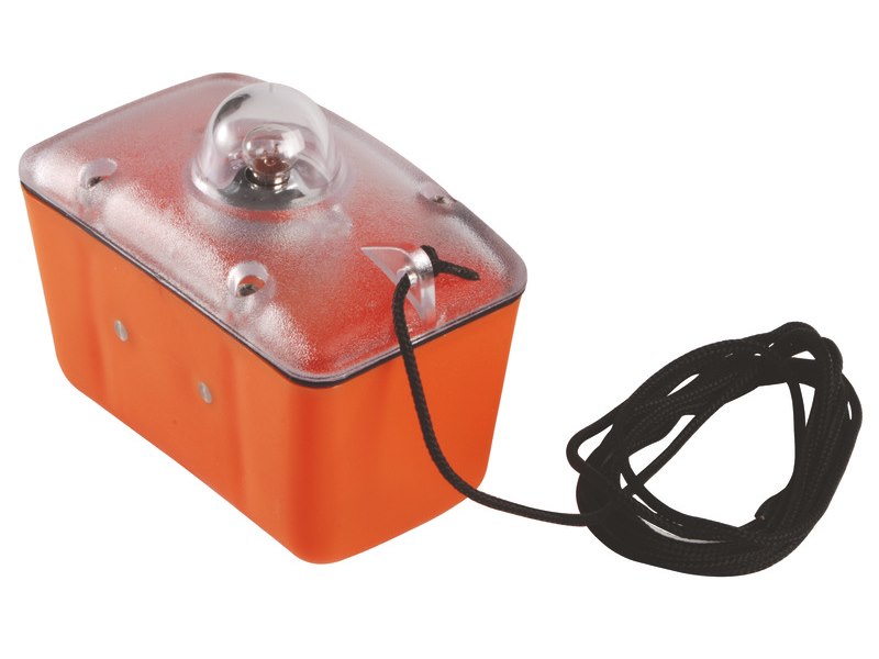 Boetta luminosa Sealux 