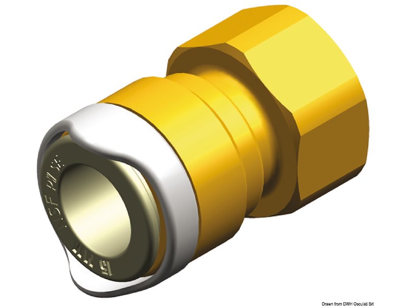 Adattatore 1/2" BSP ottone Whale 