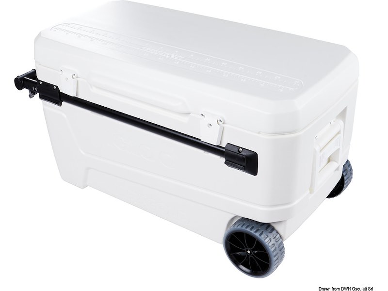 Ghiacciaie IGLOO con ruote