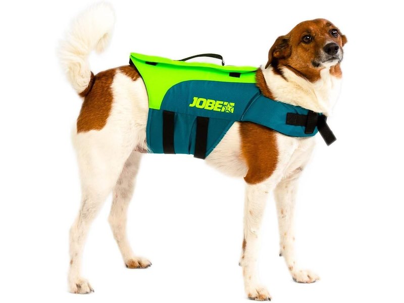 GIUBBETTO PER CANI JOBE RED