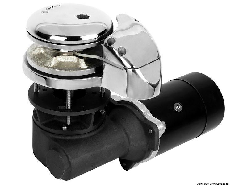 Verricello ITALWINCH Orchid