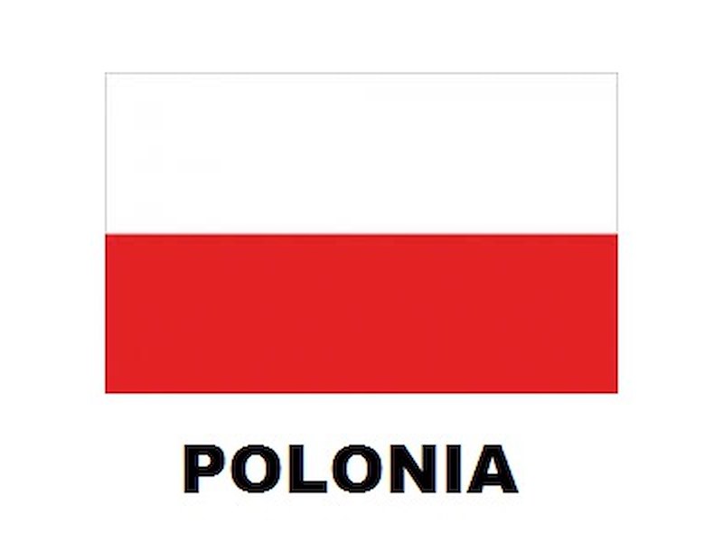 BANDIERA POLONIA